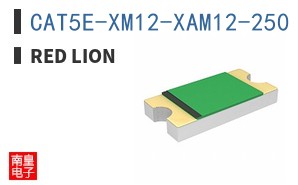 CAT5E-XM12-XAM12-250 ͼƬ